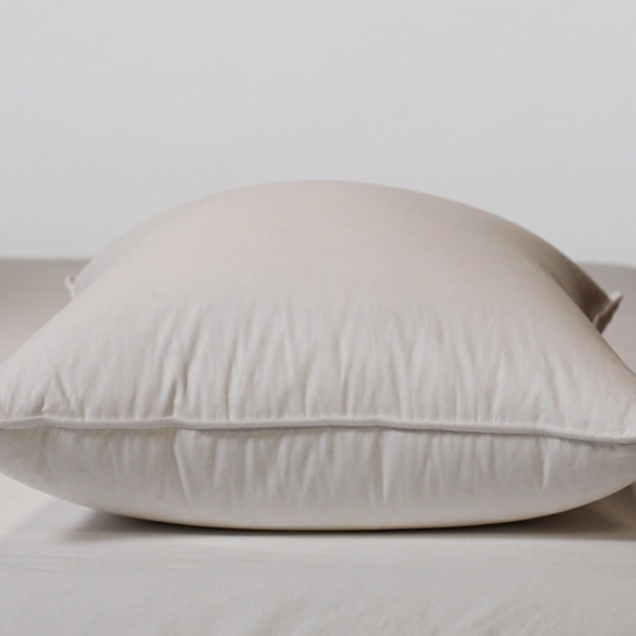 Parachute Down Alternative Pillow Firm - Picture 1 of 2